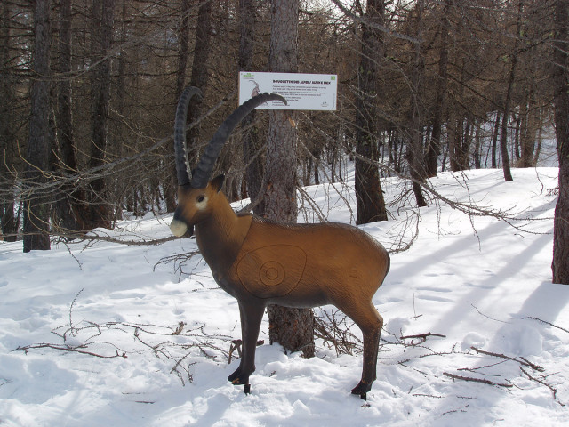 Bouquetin grandeur nature en plastique sur le côté d'un piste de ski, panneau explicatif du Parc National du Mercantour - © vald Bouquetin grandeur nature en plastique sur le côté d'un piste de ski, panneau explicatif du Parc National du Mercantour