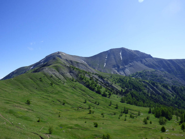 A vast expanse of grassland in a mountainous landscape