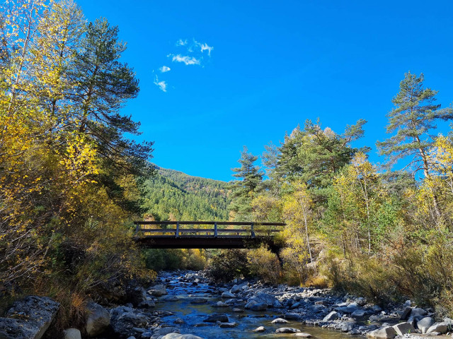 View of a wooden bridge over a stream, surrounded by a forest of fir and larch trees in autumn. Blue sky in the background.
