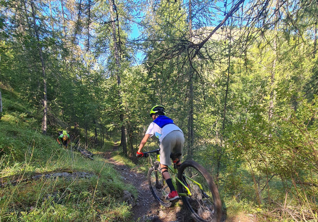 Two e-mountain bikers descending a trail located deep in a coniferous forest.