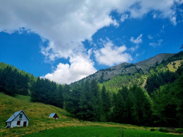 View of the ONF’s Talon-Prénier huts, situated on the trail of the same name. Beyond the huts lies a coniferous forest