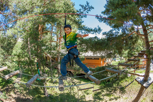 A child wearing a treetop adventure harness balances on a horizontal ladder fixed between two trees in a forest.
