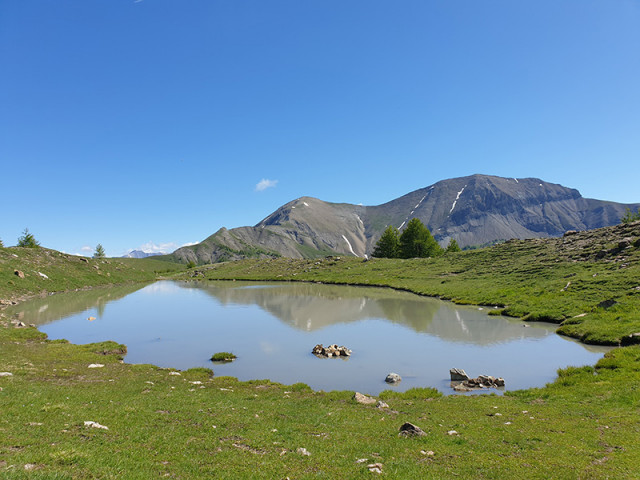 Etendue d'eau située dans une prairie d'altitude. Montagnes en arrière-plan