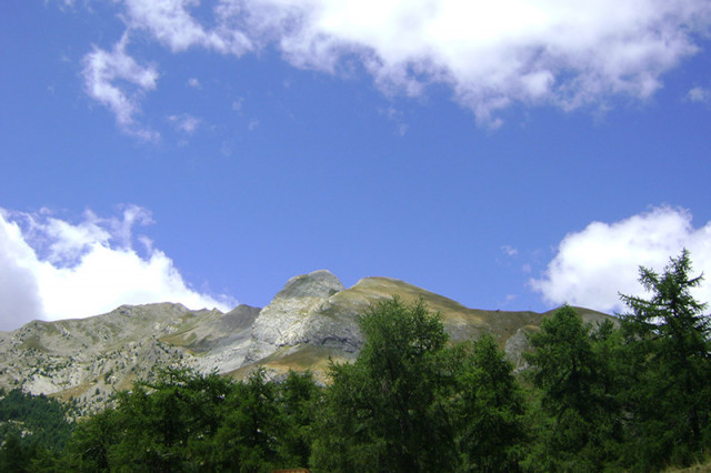 Montagne avec forêt de conifères à sa base