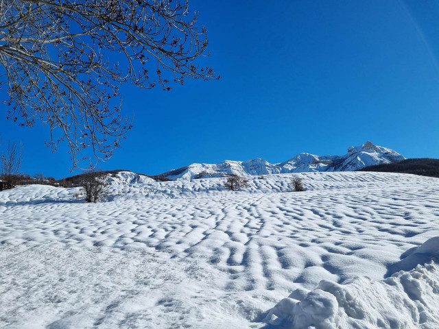 Grande étendue vallonée enneigée, montagnes enneigées en arrière-plan, grand ciel bleu