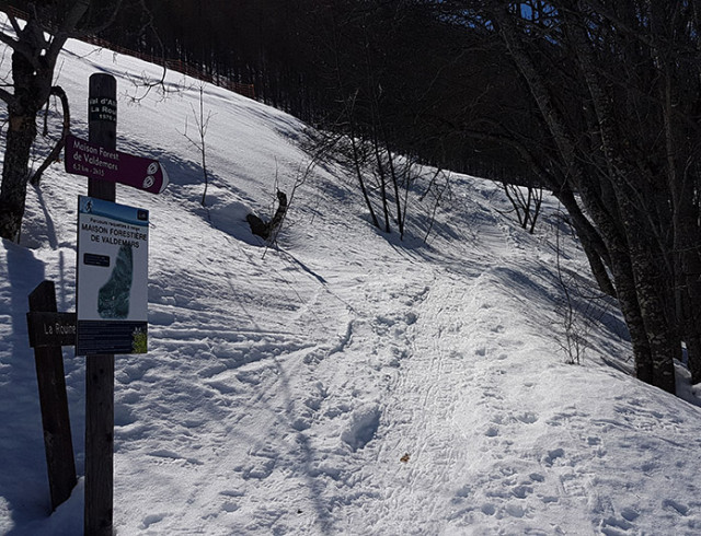 Départ du sentier raquettes de la Maison Forestière de Valdemars, panneau violet d'itinéraire, repère d'altitude. Sentier enneigé progressant dans une forêt en hiver
