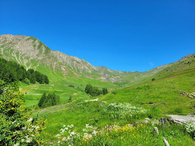 Panorama of the Sources of the Verdon, a wooded mountain valley blooming in spring - © office de tourisme du Val d'Allos Panorama of the Sources of the Verdon, a wooded mountain valley blooming in spring