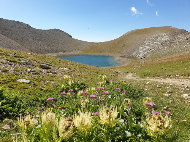 Lac des Garrets, étendue d'eau située en creux de promontoire, entourée par de la végétation, fleurs, un sentier de terre - © B Courbon Lac des Garrets, étendue d'eau située en creux de promontoire, entourée par de la végétation, fleurs, un sentier de terre