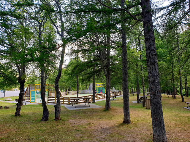 City stadium in the middle of a wooded area, enclosed football and basketball court