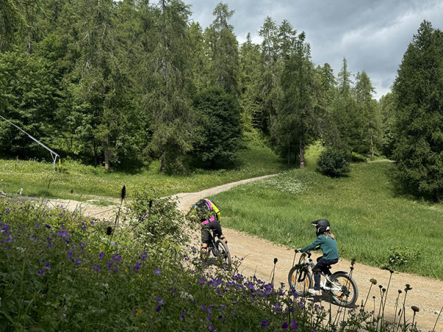 Two mountain bikers at a dirt track intersection in a coniferous forest