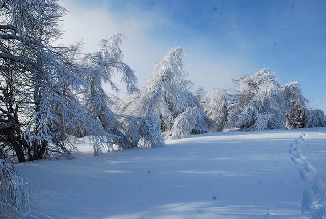 accompagnateur_en_montagne_christiane_ray_anezin.jpg