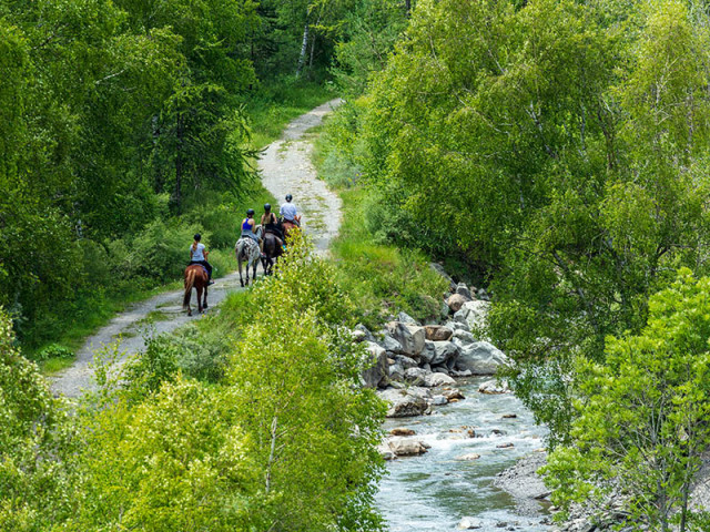Les écuries du Val d'Allos_Allos