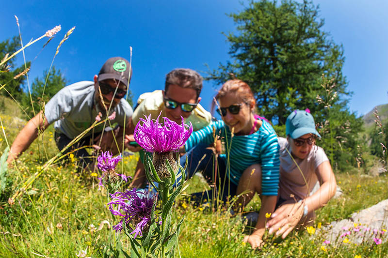 Les eco gestes du contemplatif en montagne - © R Palomba Office de tourisme du Val d'Allos