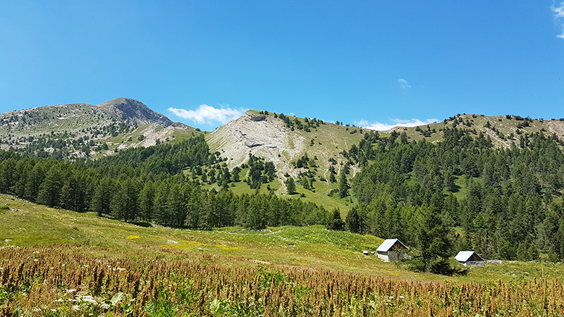 maison forestière de Valdemars - © B Courbon