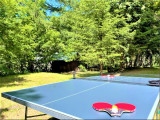Table de tennis de table au milieu d'un jardin en été