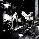 Seignus Live Music Festival_Le Seignus