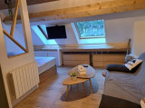 Bedroom area of ​​the studio: sofa, double bed, skylights, TV, storage space