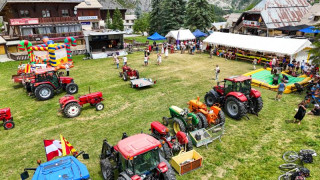 Esposizione di trattori, giochi per bambini e scena in un prato