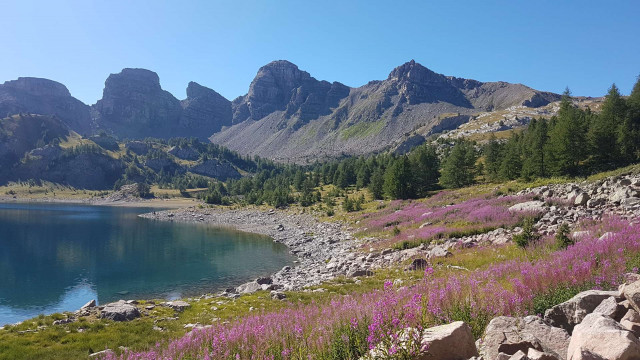 Faune - © Marc Aynié Faune