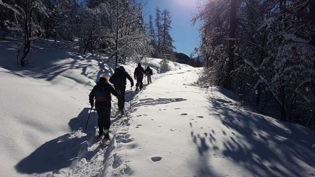 Sur les traces du Loup - © M Aynié, Rando terre d'Azur Sur les traces du Loup