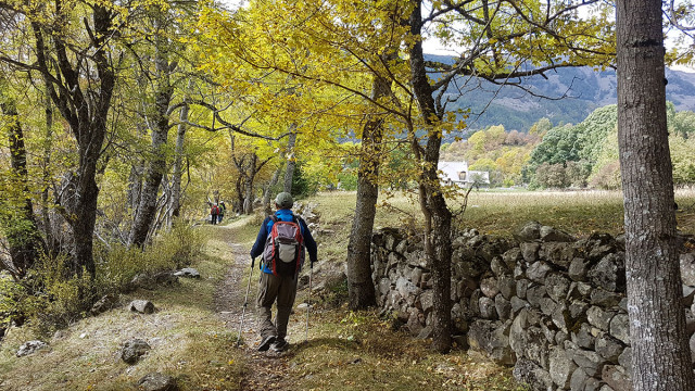 Marche Afghane - © Marc Aynié Marche Afghane