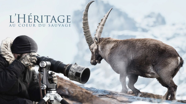 Cinema debate_La Foux d’Allos - © Cinéma de l'Aiguille Cinema debate_La Foux d’Allos