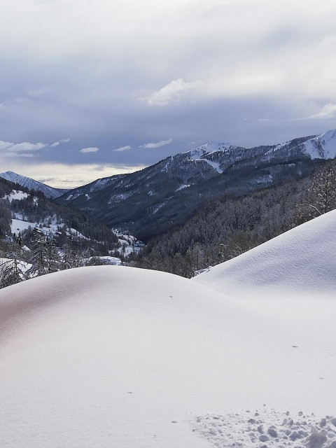 vue sur les montagnes enneigées, nature, forêt