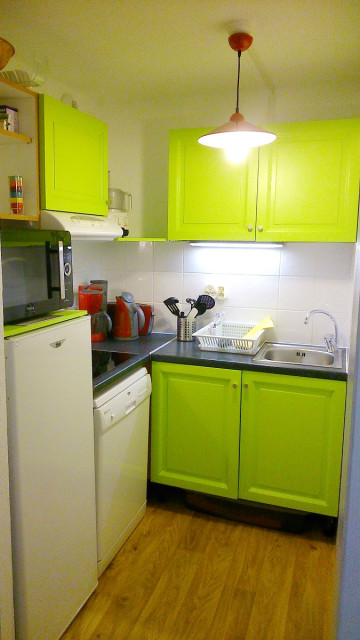 Modern kitchen with hotplates and dishwasher