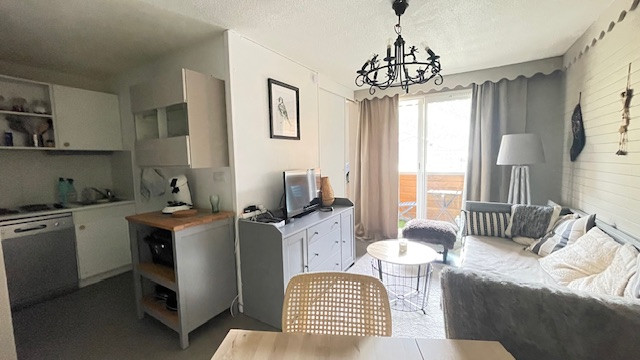 Bright studio living room and kitchen: sofa, armchair, TV, coffee table; dishwasher, electric hob - © SCI L'oliveraie_La Foux d’Allos Bright studio living room and kitchen: sofa, armchair, TV, coffee table; dishwasher, electric hob