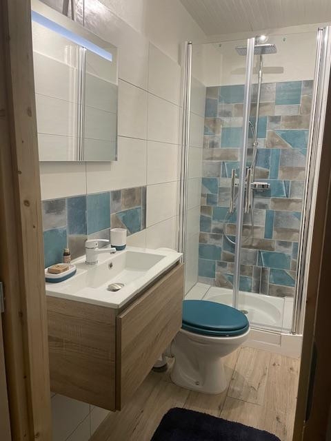 Bathroom with shower tray, toilet, sink and mirror
