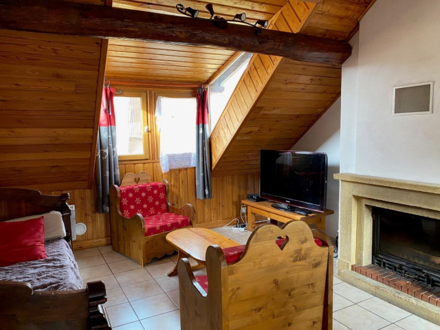 Salon tout équipé confortable avec canapé, fauteuil, TV, cheminée, fenêtre - © Pellissier N Salon tout équipé confortable avec canapé, fauteuil, TV, cheminée, fenêtre