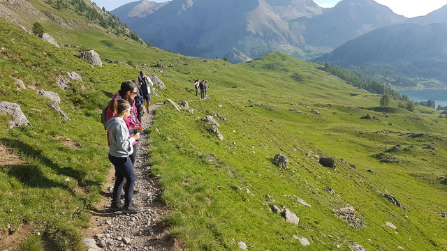 La vie des marmottes