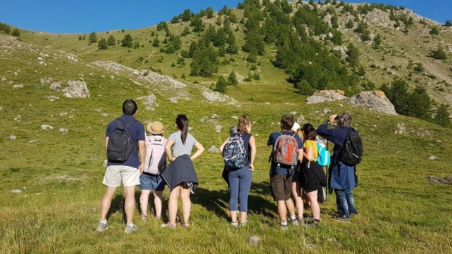 Sortiefaune sauvage du Mercantour - © Marc Aynié Sortiefaune sauvage du Mercantour