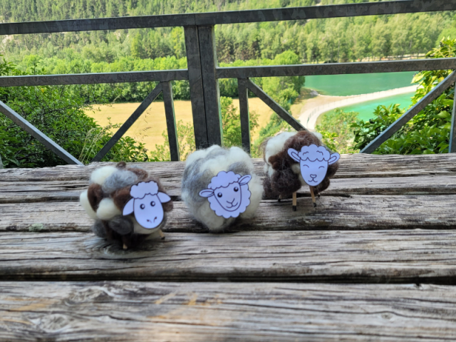 Petit mouton en laine cardée de différentes teinte