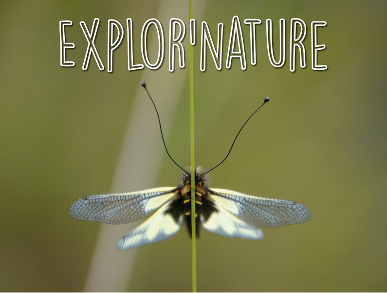 explor-nature-79464