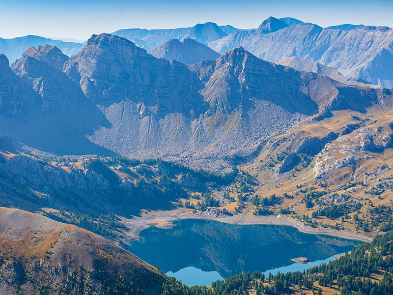 lac-dallos